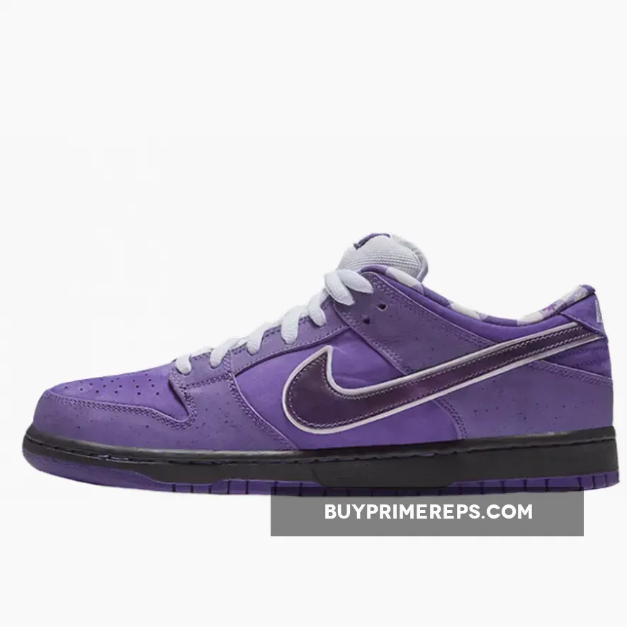 Concepts x Nike SB Dunk Low 