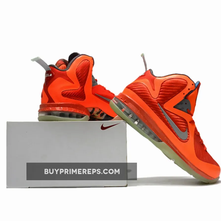 Nike LeBron 9 
